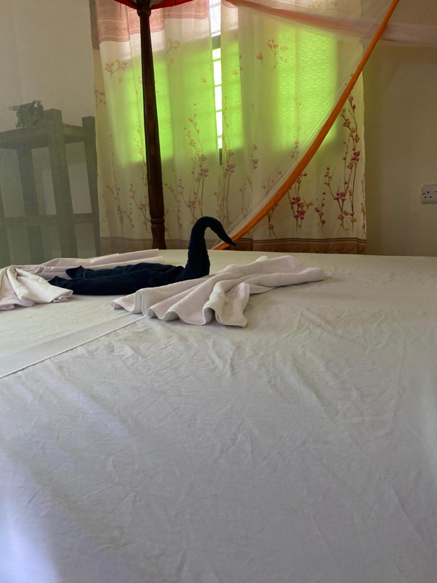 Falcon House Kendwa Bed & Breakfast Ngoại thất bức ảnh