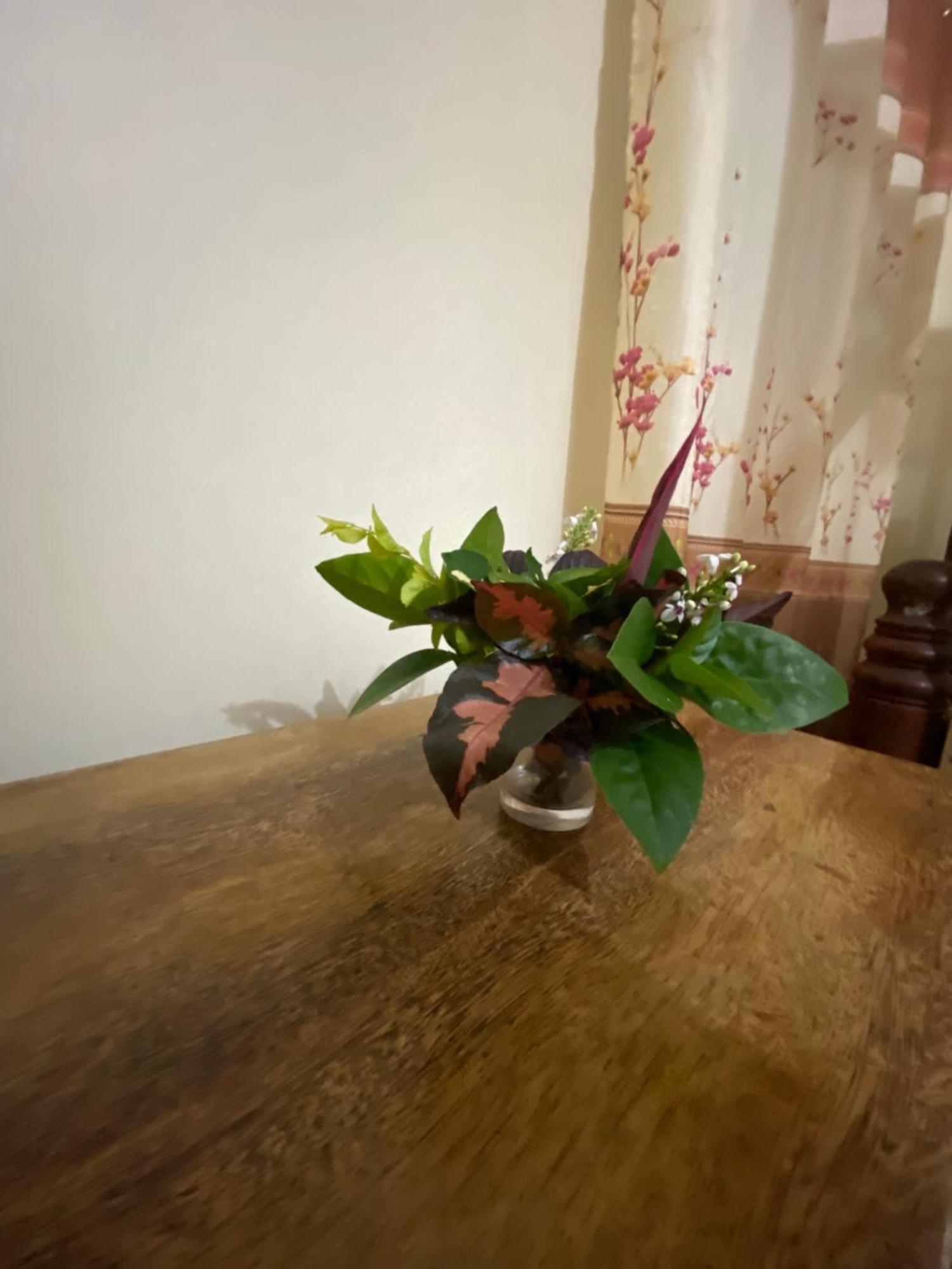 Falcon House Kendwa Bed & Breakfast Ngoại thất bức ảnh
